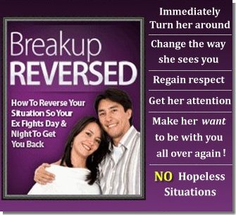 Reverse Your Breakup
